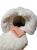 13355.png