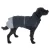 500980_hundemantel_schwarz_50cm_dog_fg_7892_2.webp