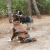 501063_501064_500980_500981_500982_nomad_tales_hs_02_7.webp