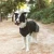 501063_501064_500980_500981_500982_nomad_tales_hs_03_1.webp