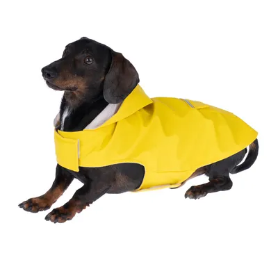 555696_raincoat_yellow_40cm_fg_8099_6.webp