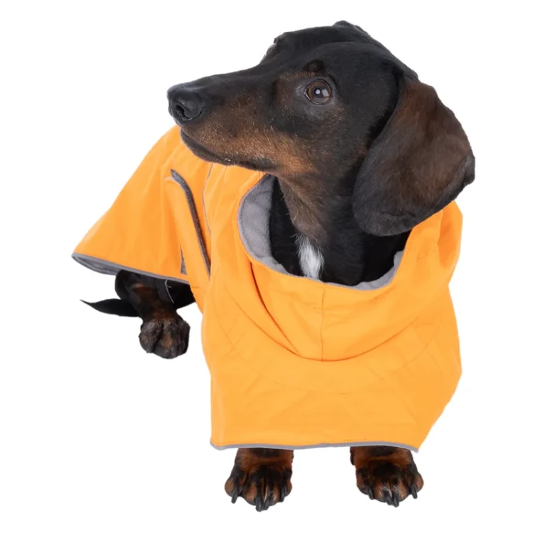 492896_saffron_35cm_dog_fg_7671_3.webp