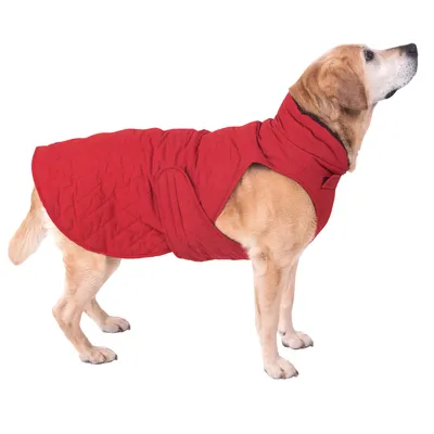 81645_hundemantel_steppmuster_hund_fg_8615_gespiegelt_8.webp