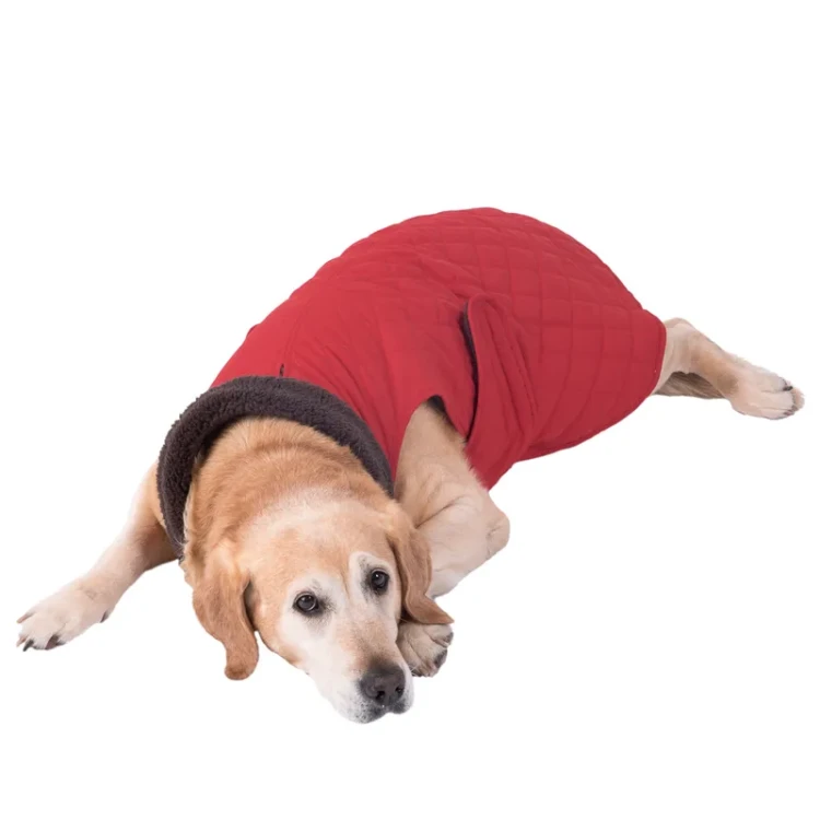 81645_hundemantel_steppmuster_hund_fg_8625_gespiegelt_3.webp