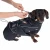 369423_nt_bloom_midnight_35cm_fg_0559_3.webp