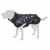 369531_nt_bloom_midnight_55cm_fg_start_0787_9.webp