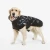 nt_midnight3_1.webp