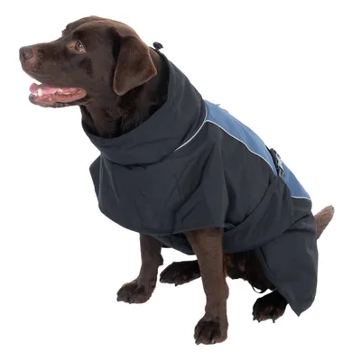 492796_steel_60cm_dog_fg_4_0.webp
