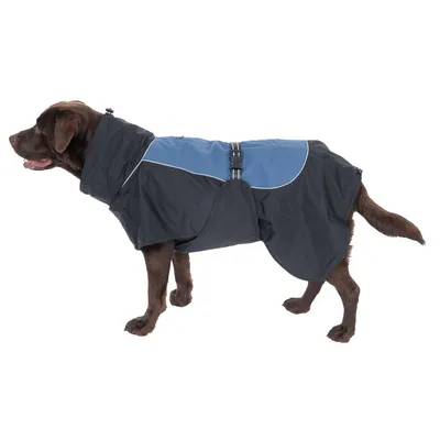 492796_steel_60cm_dog_fg_10_0.webp