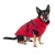 471507_arkon_rot_45cm_dog_fg_4114_9.webp