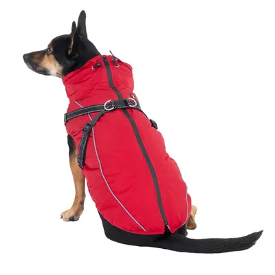 471507_arkon_rot_45cm_dog_fg_4117_0.webp