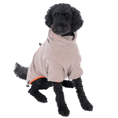 475411_blush_toffee_50cm_dog_fg_7843_1.webp