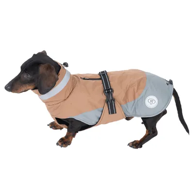 475426_bloom_warm_taupe_35cm_dog_fg_7759_1.webp