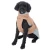 475433_bloom_warm_taupe_55cm_dog_fg_7900_9.webp