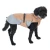 475433_bloom_warm_taupe_55cm_dog_fg_7907_5.webp