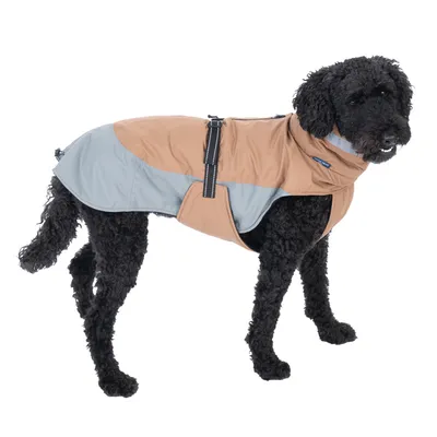 475433_bloom_warm_taupe_55cm_dog_fg_7907_5.webp