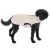 47e7b5_1_9.webp