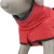543696_542433_543796_542434_543896_543897_543898_542435_trixie_hs_05_3.webp