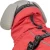 543696_542433_543796_542434_543896_543897_543898_542435_trixie_hs_06_5.webp