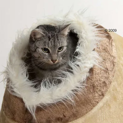 kuschelhoehle2_1.webp