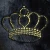 307696_patrick_royal_pet_goldene_krone_2.webp